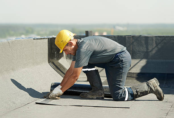 Best Insulation Maintenance and Repair in Altamont, TN