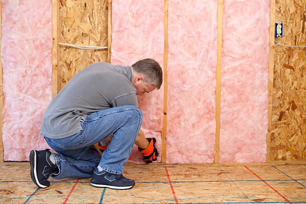 Professional Insulation Contractor in Altamont, TN