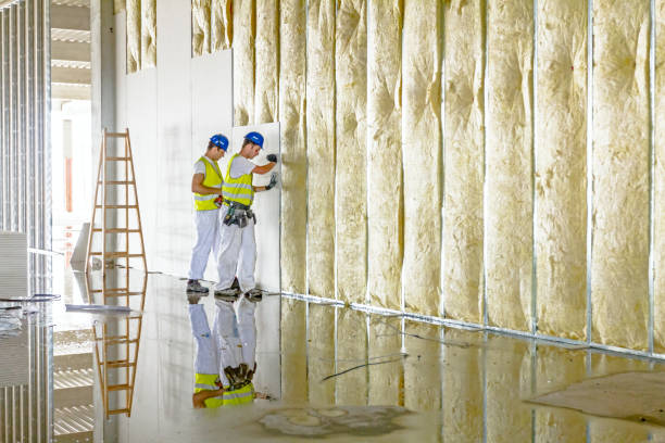Best Commercial Insulation in Altamont, TN
